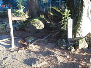 ˂񂳂̖@RɎilj̓eʐ^2