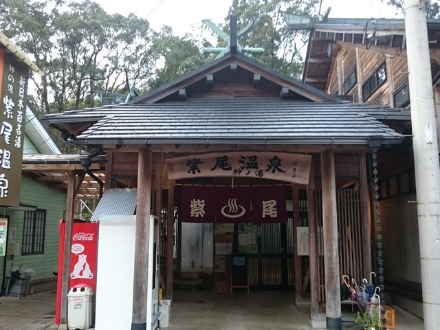 �������C_��������