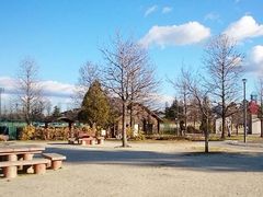 tyrelli����̃~�T�T�K�p�[�N�ւ̓��e�ʐ^1