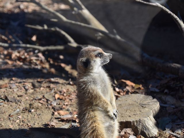 ̂łЂȂڂEEEB

_悱͂ܓY[VA