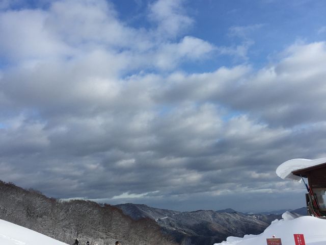 兵庫 県 神 安い 鍋 天気