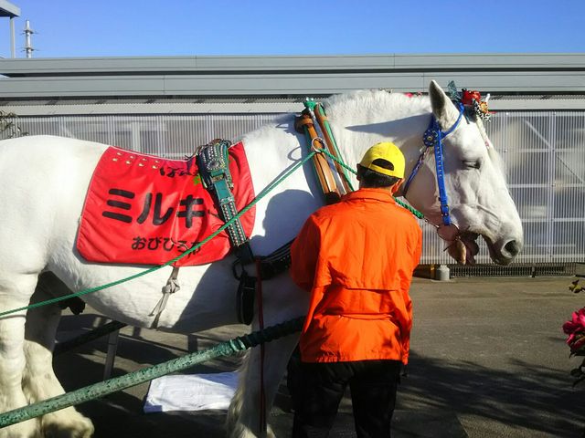 �эL�΂񂦂����n�̃~���L�[���B�R�悵�ĎB�e���ł��A�q�������l�܂ő�l�C�ł����B_��苣�n��