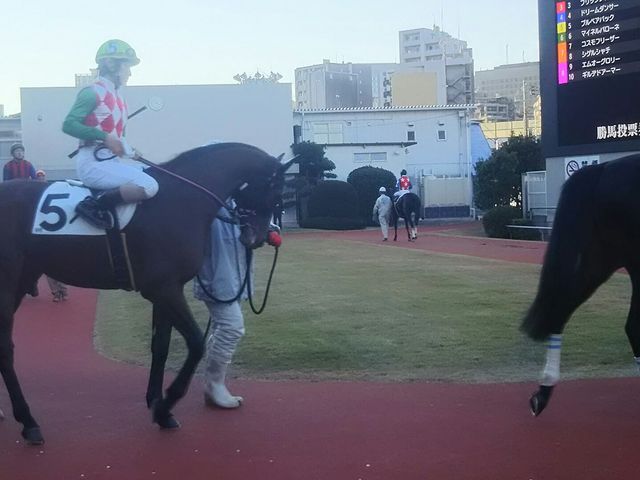 �p�h�b�N_��苣�n��