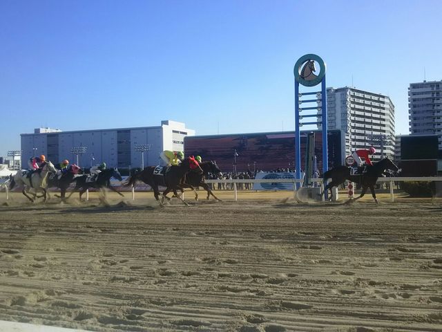 ���[�X�B_��苣�n��