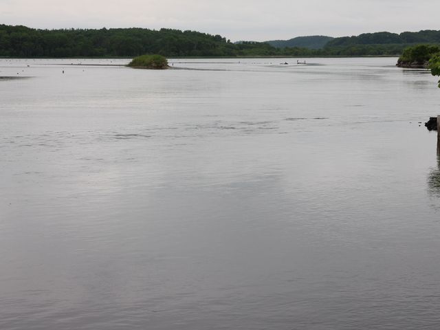 ������_������