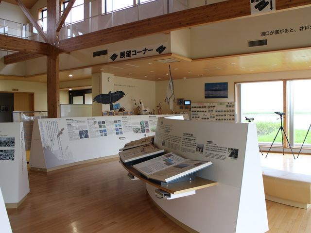 �W����_������