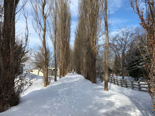 ��i�F�̃|�v������_�k��|�v������