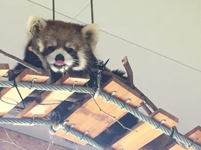 �l�Ԋώ@_�~�R������