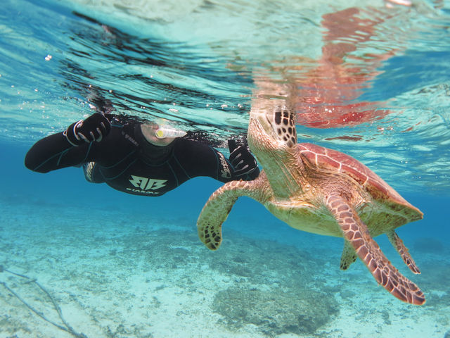 �E�~�K���ƈꏏ�ɑ��p��_�A�}�~�G���V�X