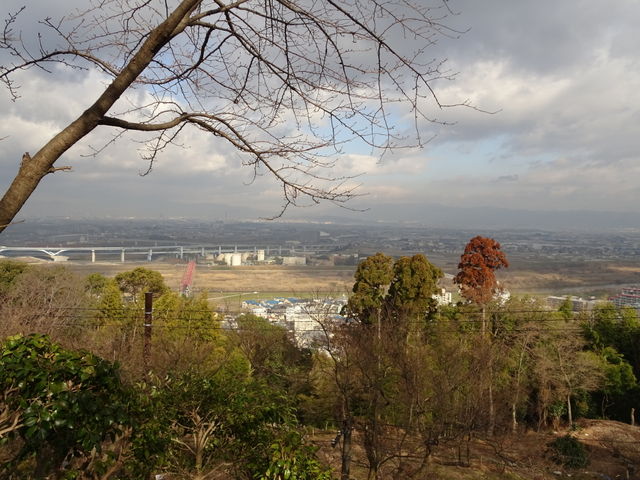 �V�󂪂悭�Ȃ��Ďc�O_�j�R�W�]��