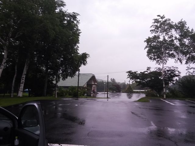 ���̉w���񂲂�3_�Ԗ؃m���O���[���p�[�N