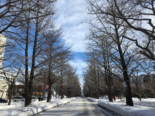 ��i�F�̃C�`���E����_�k��C�`���E����