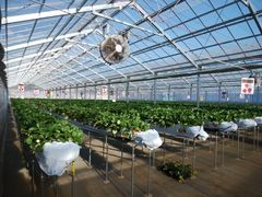 񂳂̃x[YVbvւ̓eʐ^1