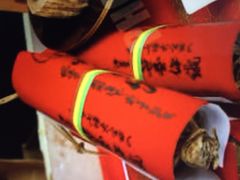 񂯂񂳂̍ɐDւ̓eʐ^1