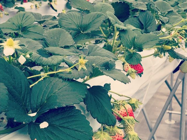 ��������񂪂��钆���玩���ōD���Ȏ�ނ�䕂�I�ׂ܂�_�i�`��������