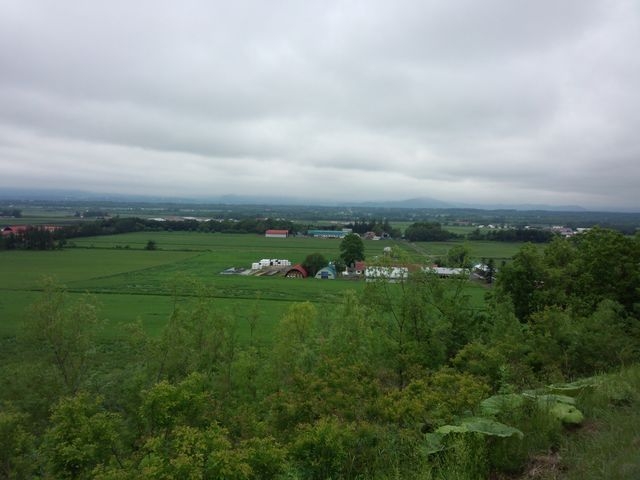 �����p�m���}�p�[�N����݂����i�i�U���j_�����p�m���}�p�[�N