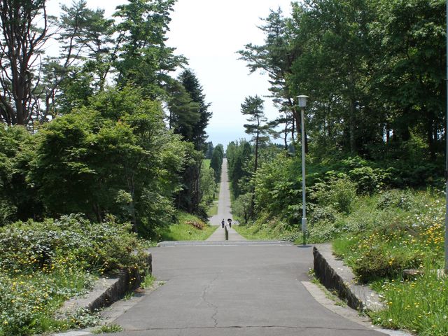 �ォ��C�������܂��B_�����V�g�[���̐����C���@�i�g���s�X�g�C���@�j