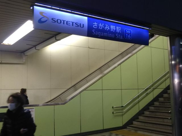 g}[Ch ݖX̍Ŋw͓͑Sݖw̓D炷B_g}[Ch ݖX