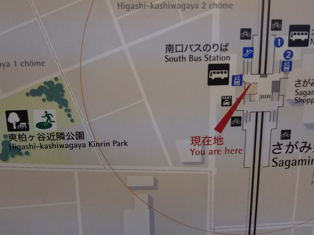 Jߗ׌̍Ŋw͓͑S{̂ݖw̓D炷B_Jߗ׌