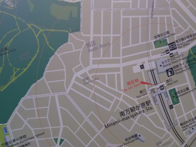 ǂRr̍Ŋw͓͑Sݖ̓얜Rw̓o15炢B_ǂR@r