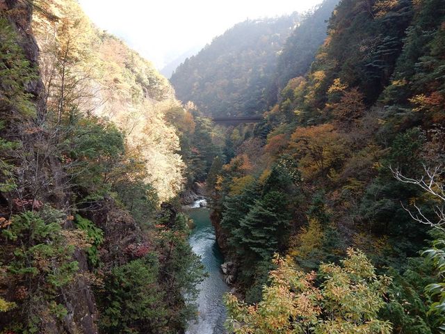 w-masa̐Y̌т̓eʐ^1