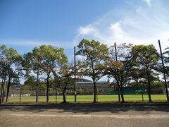 あいちゃんさんの岡崎公園（京都府京都市）の投稿写真1