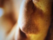 ptF̑Rԏ@ s{X̓eʐ^1