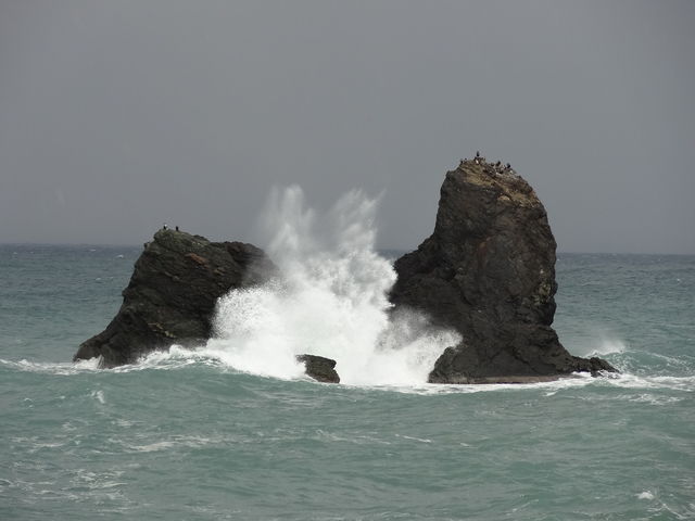 esmqsm@gł_̉w esmsAp[NXgsA