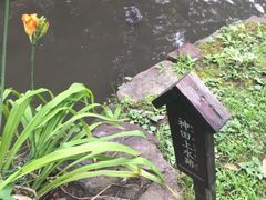 Kuda12̐_c㐅Ձiΐyjւ̓eʐ^1