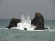 񂳂̓̉w esmsAp[NXgsA̓eʐ^3