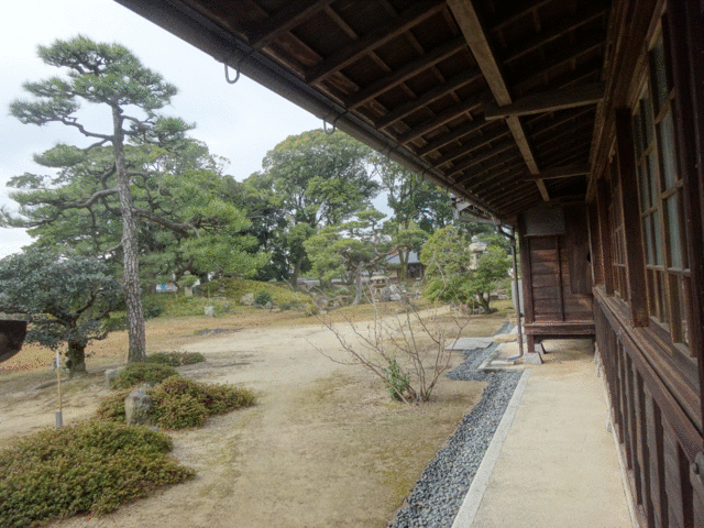 ney����̎O�c�K�䒃���i�p�_���j�̓��e�ʐ^1