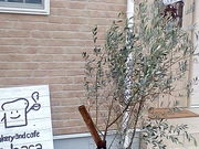 X[|[ÑpH[ ΂̓eʐ^1