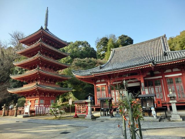 明王院本堂(国宝)】アクセス・営業時間・料金情報 - じゃらんnet