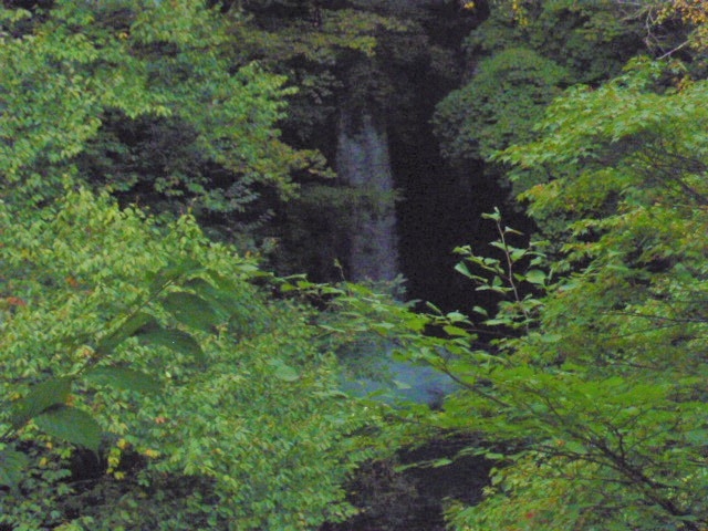 ����̑�_����̑�