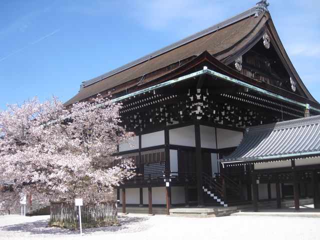 �����a�@���߂̍�_���s�䏊