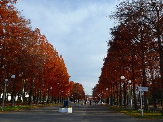 ԔLOEߌΒn_ԔLOߌΒn