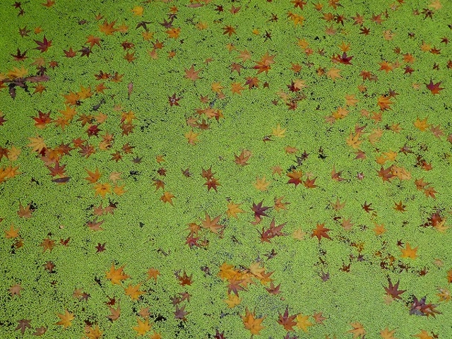 ԔLOEߌΒn_ԔLOߌΒn