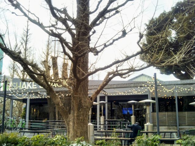 �w�V�F�C�N�V���b�N �O�������傤���ؓX�x�B_�V�F�C�N �V���b�N �O�������傤���ؓX�iSHAKE SHACK�j