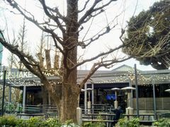 usãVFCN VbN O傤ؓXiSHAKE SHACKjւ̓eʐ^1