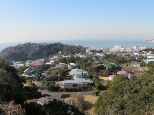 ��I�R����̒���_��I�R����