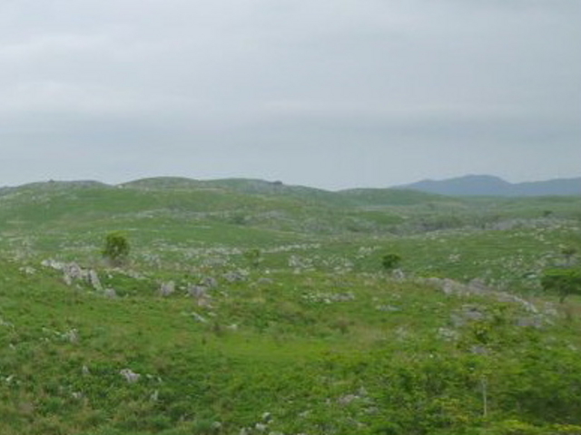 taka����̏H�g�䎩�R�ώ@�H�m��|�R�t�߁n�̓��e�ʐ^1