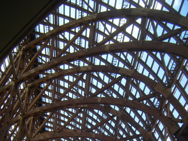 V䂪؍ނōꂽh[\_qgS