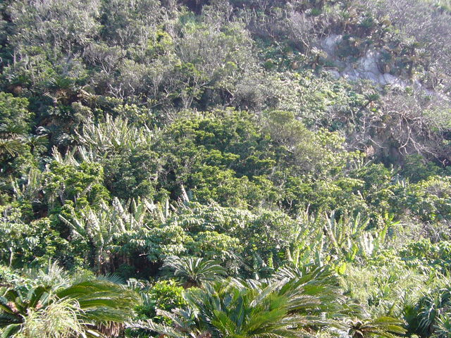 ^񂳂̈؉oVEQn̓eʐ^1