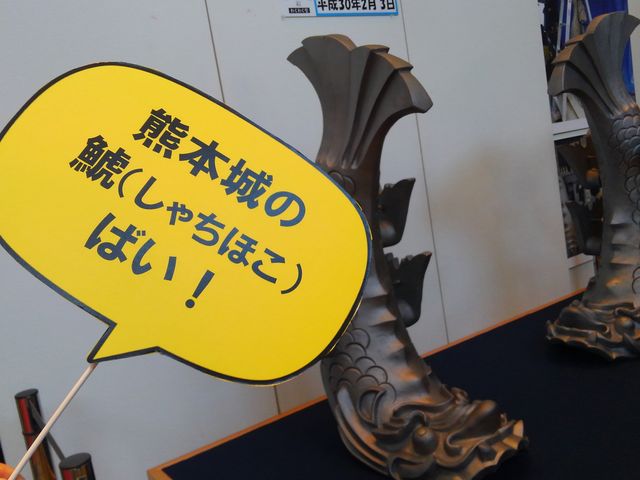 ȊŎʐ^B܂_̔n@ʉ@NX