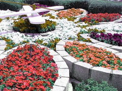 綺麗に飾られた花時計 - 花時計のクチコミ - じゃらんnet