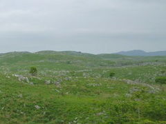 taka����̏H�g�䎩�R�ώ@�H�m��|�R�t�߁n�ւ̓��e�ʐ^1