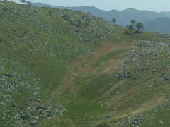 Hg䎩Rώ@Hm|Rt߁n̎ʐ^1