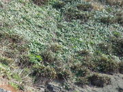 aki̐{ztFXt߁^Ԃ̓eʐ^1