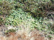 taka̐{ztFXt߁^Ԃ̓eʐ^1