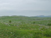 takȁHg䎩Rώ@Hm|Rt߁n̓eʐ^1